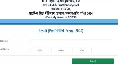 Rajasthan Pre DElEd Result 2024