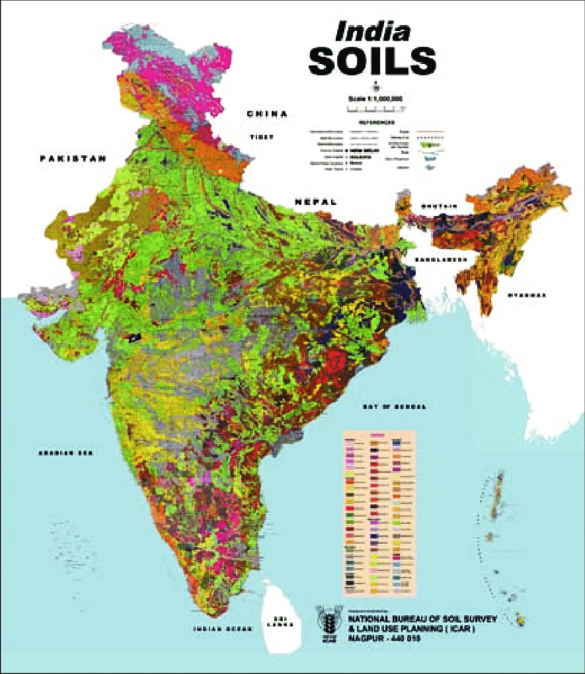 Types of Soil in India